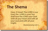 the-shema